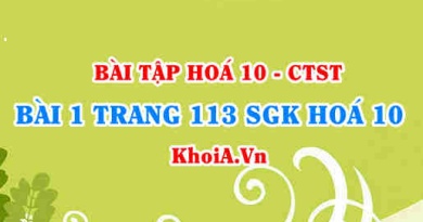 Bài 1 trang 113 SGK Hoá 10 Chân trời sáng tạo